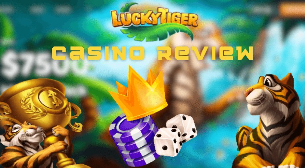 Why players choose Lucky Tiger